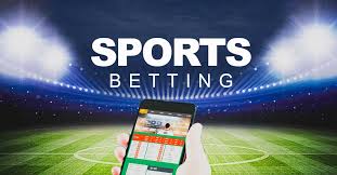 Discover the Best Crypto-Only Gambling Sites You Can Trust 11 Discover the Best Crypto-Only Gambling Sites You Can Trust 11